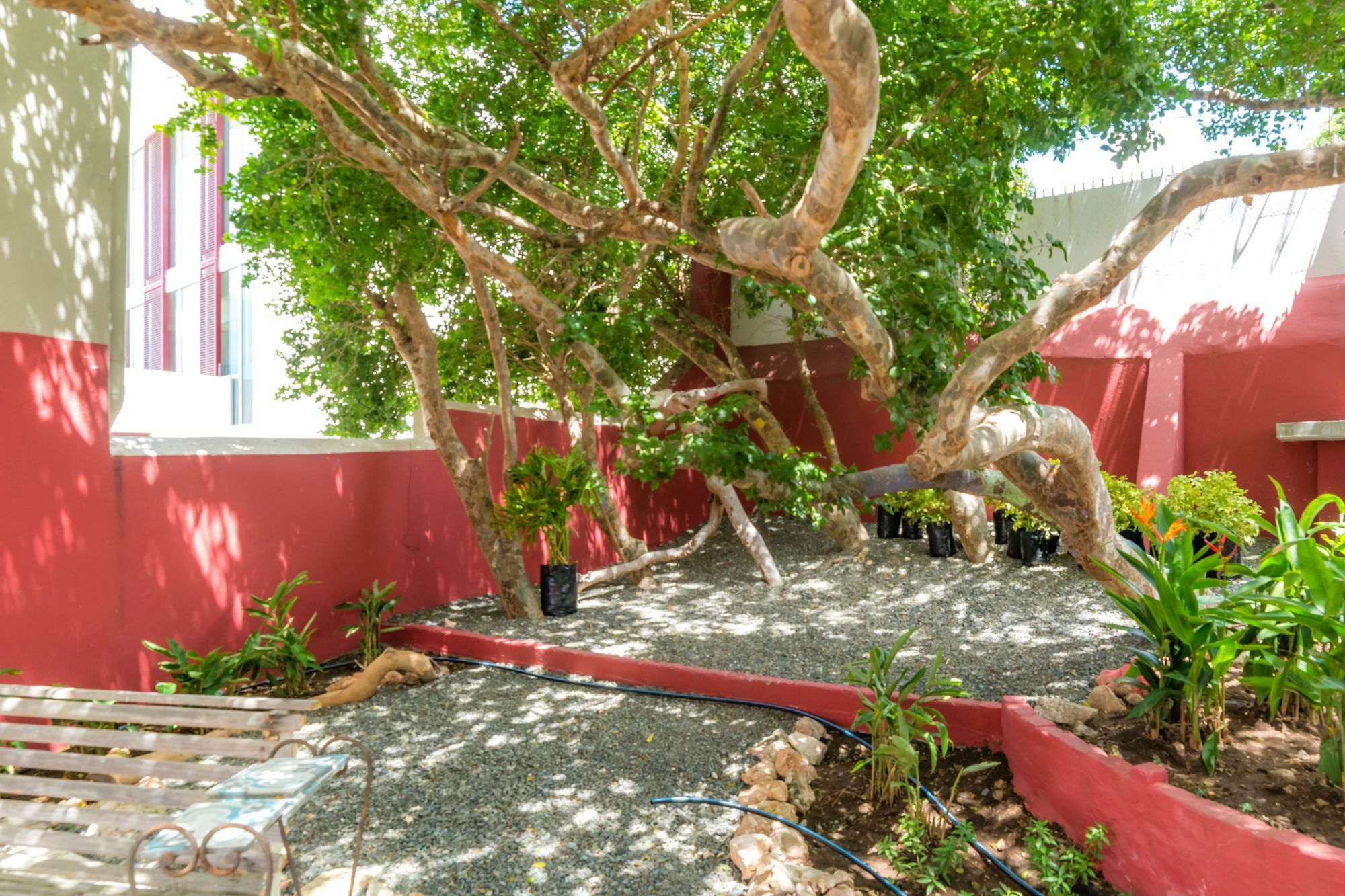 וילמסטאד Bario Hotel מראה חיצוני תמונה